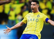 九游链接-包含西班牙射箭选手逆转胜利，登上领奖台的词条